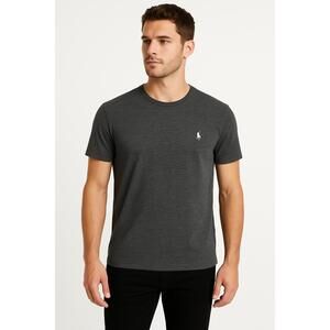 Polo Ralph Lauren Dark Gray Short Sleeve Crew Neck Embroidered Logo Mens T Shirt